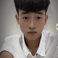 Lê Trung Thật (O lặn)