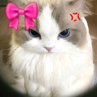 Suu