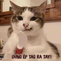 Tác giả
