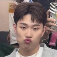 dương domic
