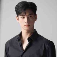 Cha Eun Woo