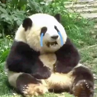 Tác giả