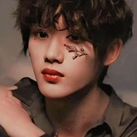 ĐINH TRÌNH HÂM