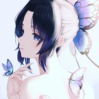 shinobu kochou