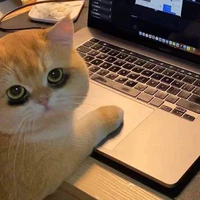 điệp viên của dịt
