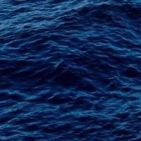 All ( tất cả mọi người )