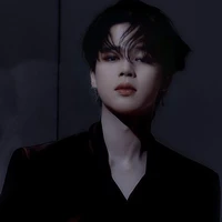 Park Jimin [ Alpha ]