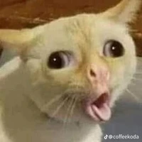 con tg mát mát🥰