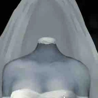 The bride