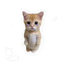 Mel Cing