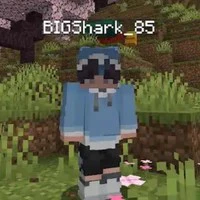BigShark
