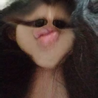 tqinn