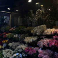 Nhân vật giấu tên