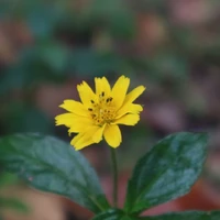 all ( - một số người )