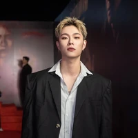 dương domic
