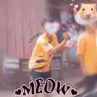 Ngáo 