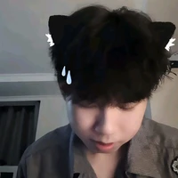 Nguyễn Hữu Đạt/Phoenix