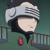 Shino(sensei)