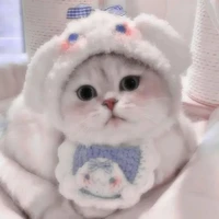 tác giả cute