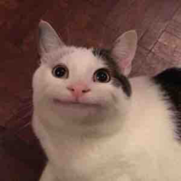 tôi