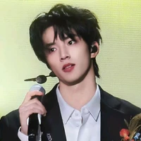 Lưu Diệu Văn_Anh