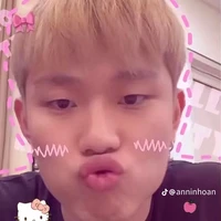 dương domic