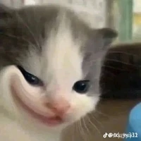 Con tg có vđề