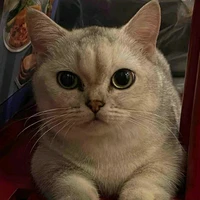 nhân tố bí ẩn ( tác giả)