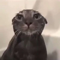 Chú hề miền tây 🤡