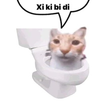 t/g simp lỏ Raddy