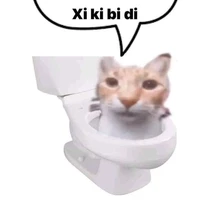 t/g simp lỏ Raddy
