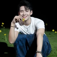 Hoàng Hùng (Gemini)