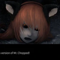 Mr . Chopped