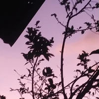 all