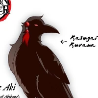 Aki