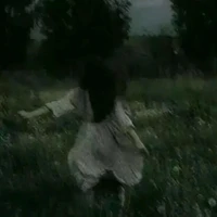 Vãn Hi Dương/Nhỏ Tác Giả