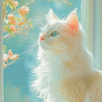 Hệ thống 025 | Serein