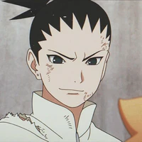 Nara Shikadai