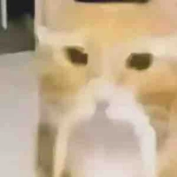 tg