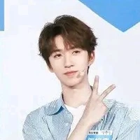 Hạ Tuấn Lâm 