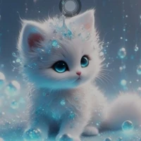 tui (tác giả chính)