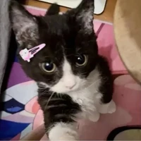 sủi bọt mép^-^