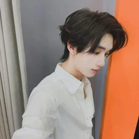 Đinh Trình Hâm