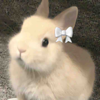 Tác giả cute hột me