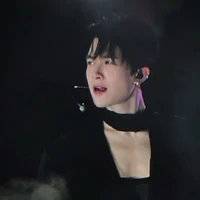 Bùi Anh Tú