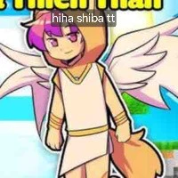 hiha shiba thiên thần