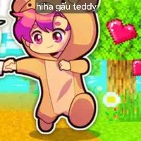 hiha gấu teddy