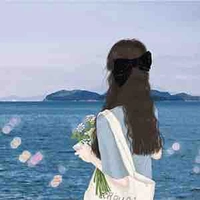 Fan (All)