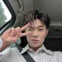 dương domic