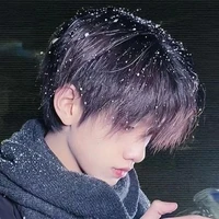 Vương Cẩn Kỳ
